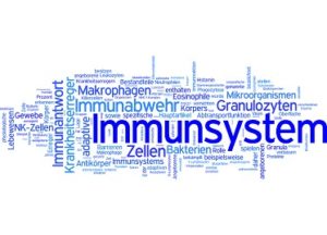 Immunsystem